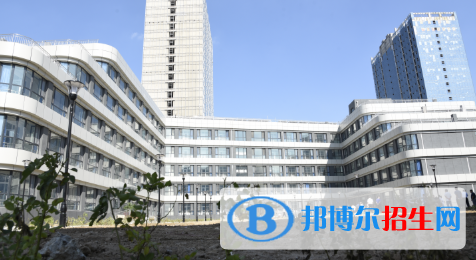 濰坊濱海國際學(xué)校初中部2020年學(xué)費、收費多少
