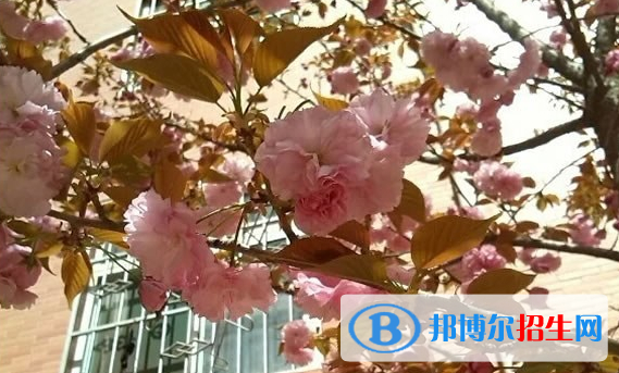  岐山高級(jí)中學(xué)2020年報(bào)名條件、招生對(duì)象以及招生要求