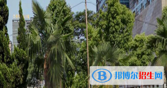 安徽2020年有鐵路學(xué)校的大專(zhuān)
