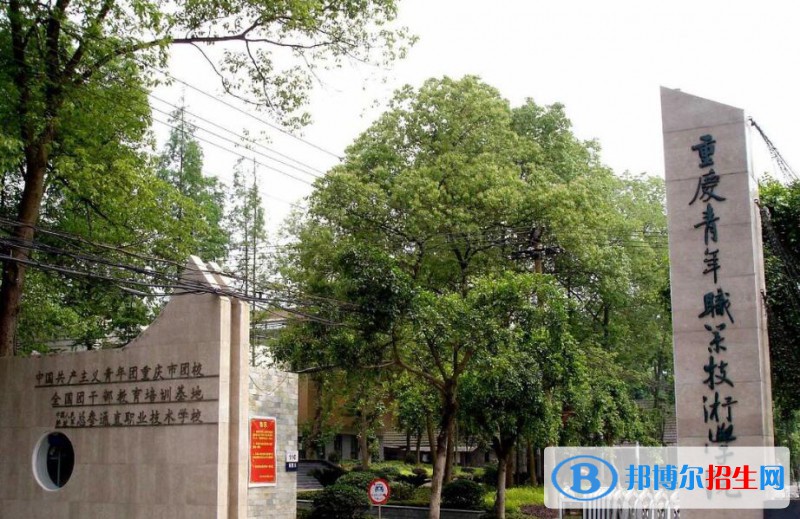 重慶青年職業(yè)技術學院2020年招生代碼