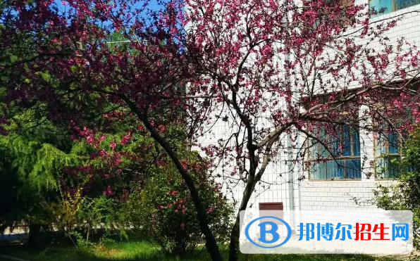 西峰北辰職業(yè)技術(shù)學(xué)校2020年招生辦聯(lián)系電話