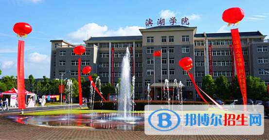 民辦合肥濱湖職業(yè)技術(shù)學院2020年招生簡章
