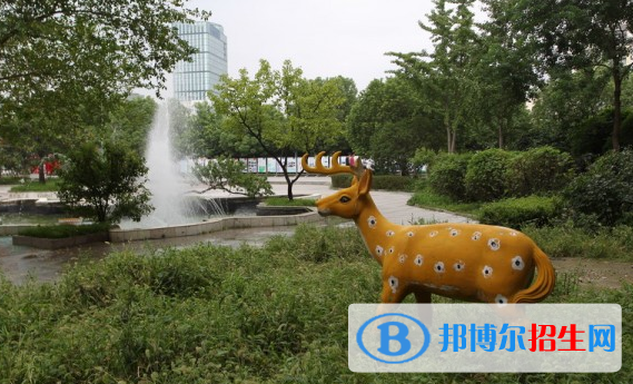 連云港外國語學(xué)校2020年報(bào)名條件、招生要求、招生對(duì)象