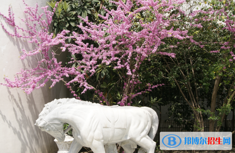 杭州國泰外語藝術(shù)學(xué)校初中部怎么樣、好不好