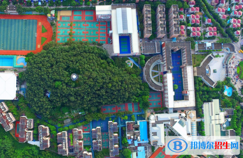 廣東碧桂園(IB國際)學(xué)校初中部網(wǎng)站網(wǎng)址