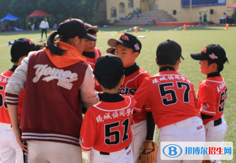 深圳曦城協(xié)同國際學校初中部2023年招生計劃