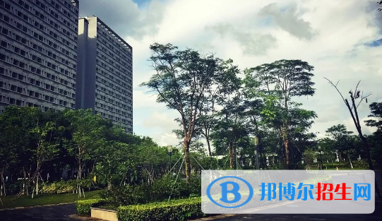 深圳信息職業(yè)技術(shù)學(xué)院2020年報(bào)名條件、招生要求、招生對(duì)象