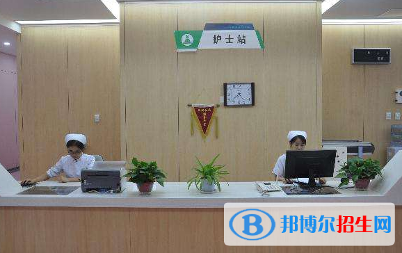 河北2020年高等衛(wèi)校大專學(xué)校