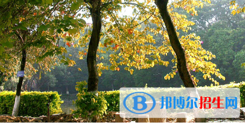 廣西民族中等專業(yè)學(xué)校怎么樣、好不好
