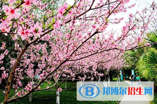 江陽(yáng)城建職業(yè)學(xué)院2020年招生簡(jiǎn)章