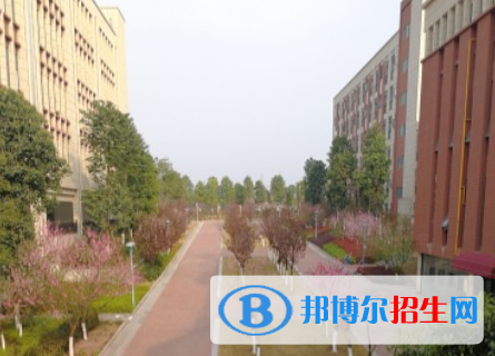 綿陽富樂國(guó)際學(xué)校初中部地址在哪里