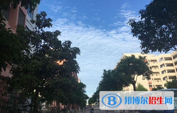 茂名職業(yè)技術(shù)學院五年制大專2020年報名條件、招生要求、招生對象