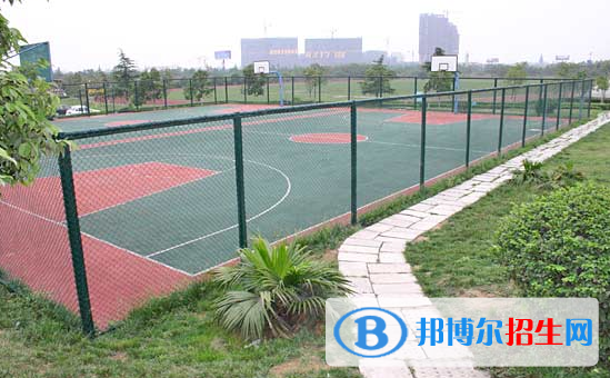 成都美視國際學校初中部地址在哪里