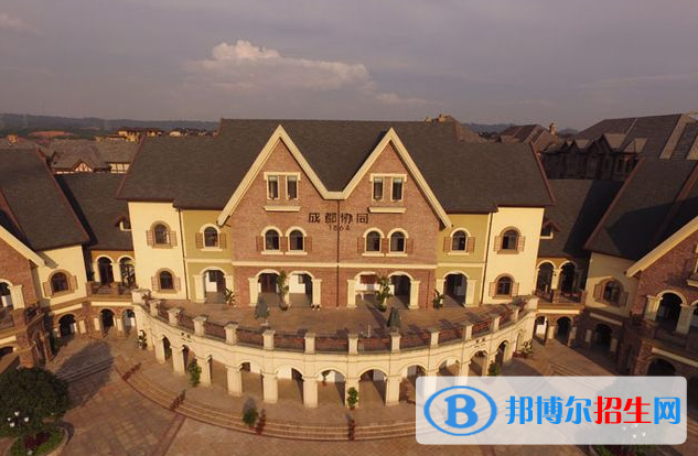 成都協(xié)同國際學(xué)校初中部2020年招生計(jì)劃