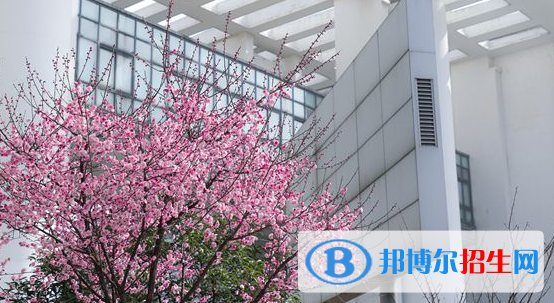 安徽藝術職業(yè)學院地址在哪里 
