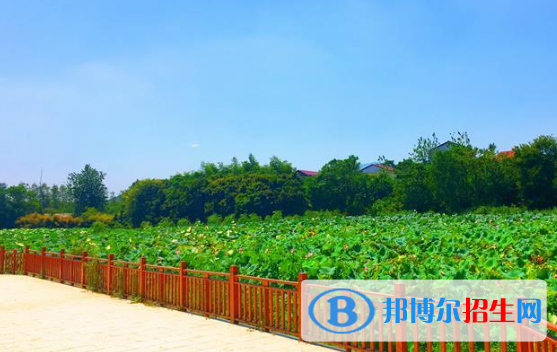 江西楓林涉外經(jīng)貿(mào)職業(yè)學(xué)院2020年報(bào)名條件、招生要求、招生對(duì)象