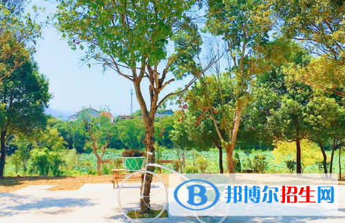 江西楓林涉外經(jīng)貿(mào)職業(yè)學院2020年有哪些專業(yè)