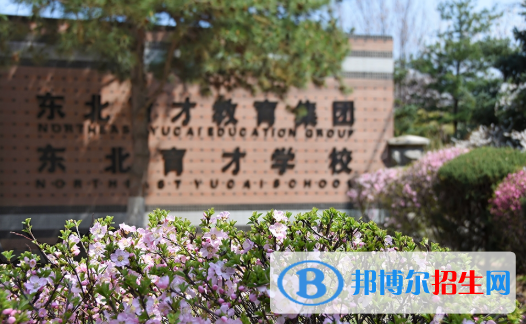 東北育才學(xué)校國(guó)際小學(xué)部網(wǎng)站網(wǎng)址