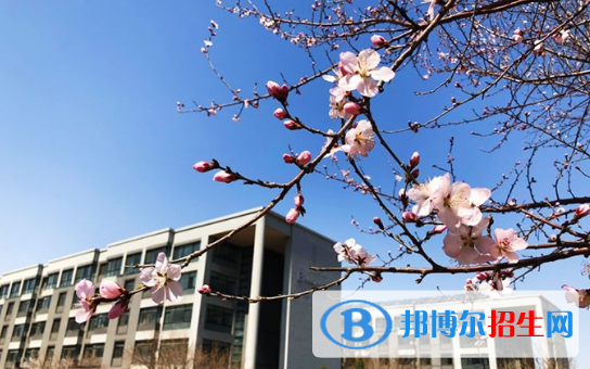 東北育才學(xué)校國際小學(xué)部怎么樣、好不好