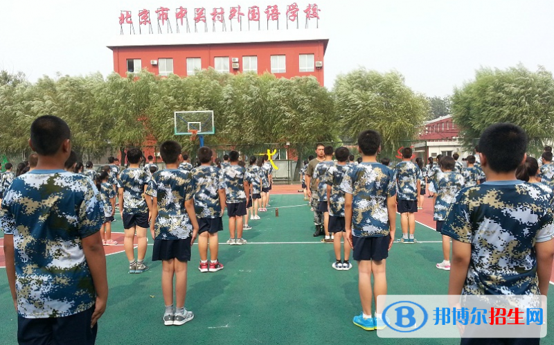 北京中關村外國語學校小學部2023年招生計劃