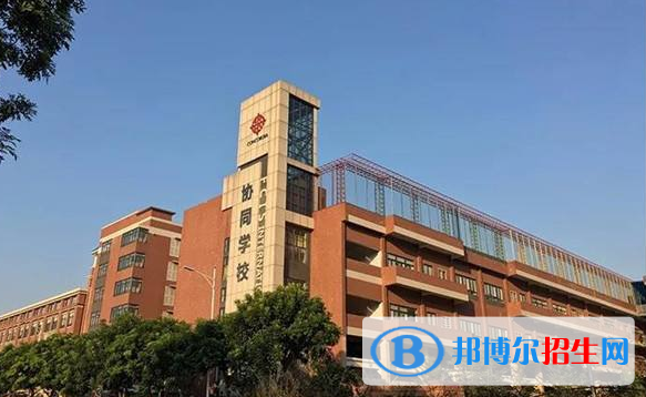 佛山協(xié)同國際學校小學部2020年招生計劃