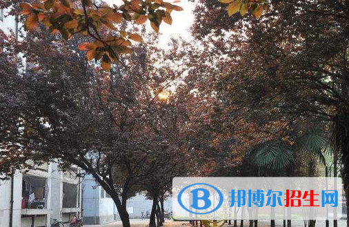 棗陽(yáng)第二職業(yè)高級(jí)中學(xué)4