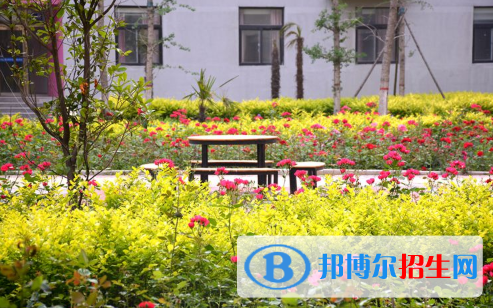 河南師大附中雙語(yǔ)國(guó)際學(xué)校小學(xué)部2020年招生辦聯(lián)系電話(huà)