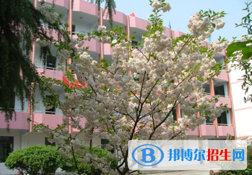西鄉(xiāng)二中2020年報(bào)名條件、招生要求、招生對(duì)象