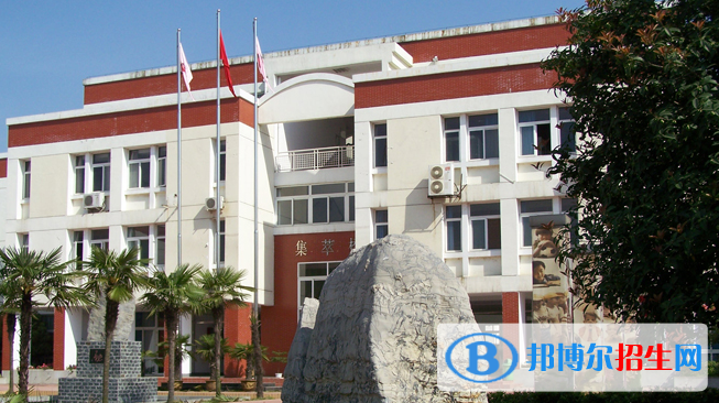 合肥世界外國語學(xué)校小學(xué)部2020年報名條件、招生要求、招生對象