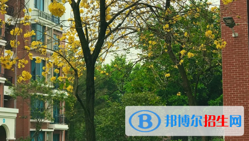 廣東碧桂園職業(yè)學院2020年學費、收費多少