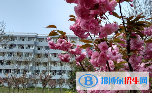 蚌埠經(jīng)濟技術(shù)職業(yè)學(xué)院2020年宿舍條件