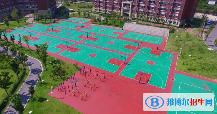 廣元天立國際學校小學部網(wǎng)站網(wǎng)址