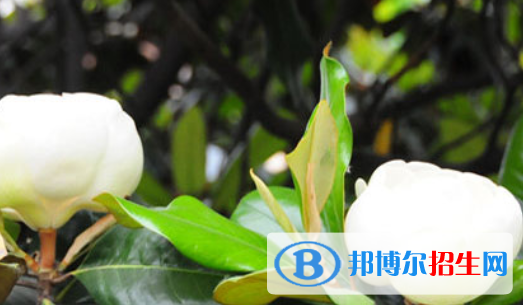 淮北煤炭管理干部中等專業(yè)學校怎么樣、好不好