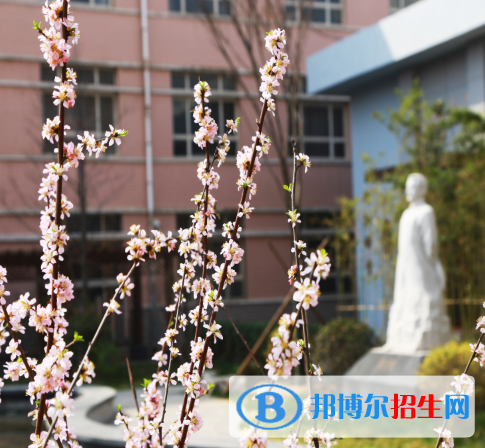 河北師范大學附屬中學2020年招生代碼