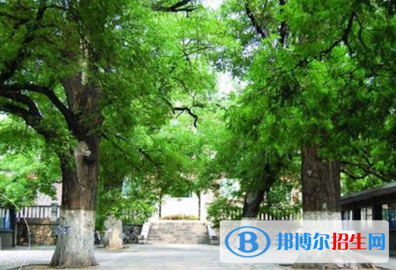  河北車(chē)軸山中學(xué)2020年招生辦聯(lián)系電話(huà)
