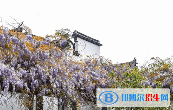 蘇州第六中學(xué)2021年招生代碼