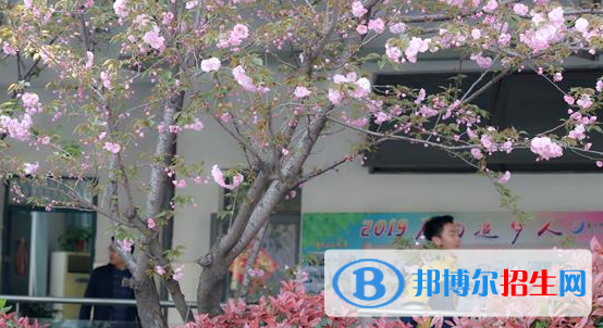 南京師范大學(xué)附屬揚(yáng)子中學(xué)2021年學(xué)費(fèi)、收費(fèi)多少
