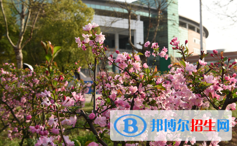 南京師范大學附屬中學江寧分校2021年招生計劃