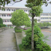 安慶陽(yáng)光職業(yè)技術(shù)學(xué)校