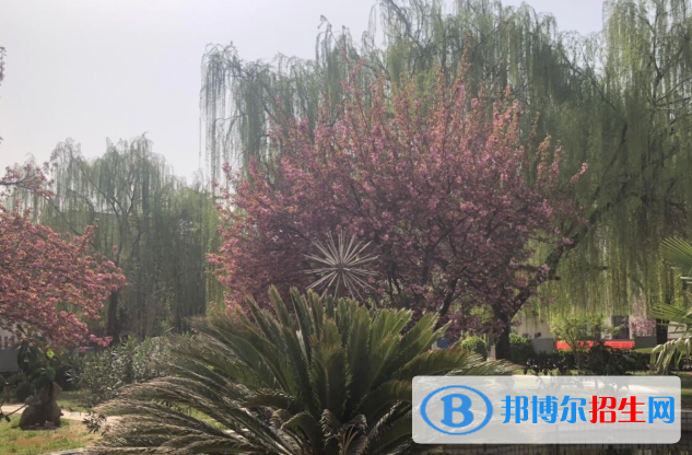 河北安國中學(xué)2021年報(bào)名條件、招生要求、招生對(duì)象
