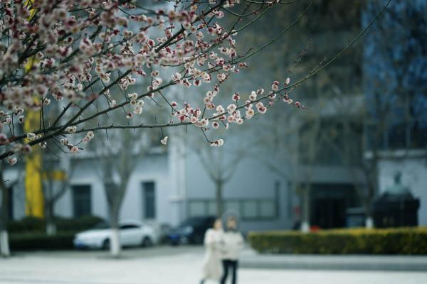鹽城幼兒師范高等?？茖W(xué)校怎么樣、好不好