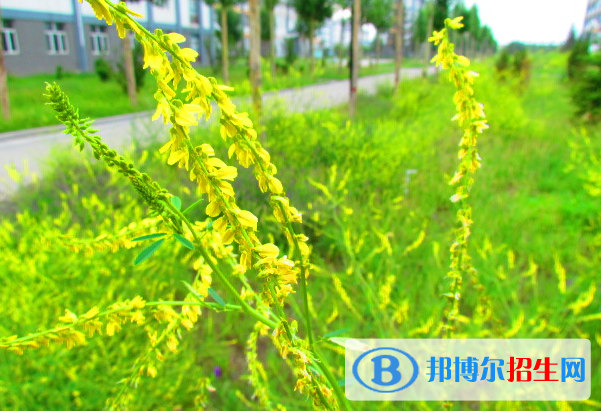 張北縣第一中學(xué)2021年怎么樣、好不好