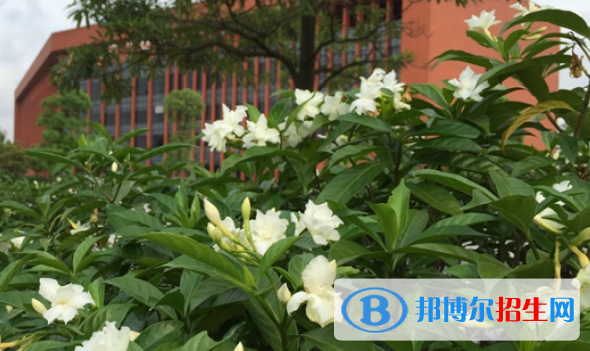 廣東工業(yè)高級技工學(xué)校2021年報(bào)名條件、招生要求、招生對象