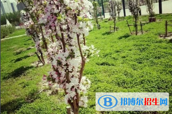 河北滄州第一中學(xué)2021年招生簡(jiǎn)章