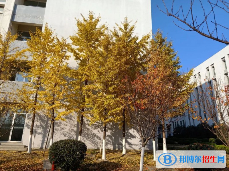 安徽省宿州逸夫師范學(xué)校怎么樣、好不好