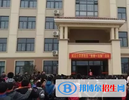 六安市金安職業(yè)學(xué)校2021年有哪些專業(yè)
