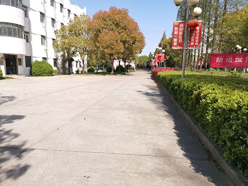 泰州市體育運動學校怎么樣、好不好