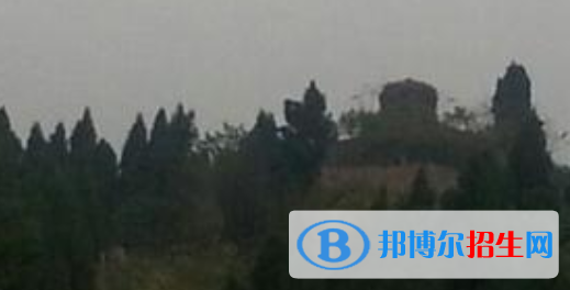 資陽市雁江區(qū)忠義高級職業(yè)中學(xué)怎么樣、好不好