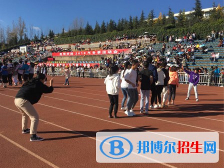 雙柏縣職業(yè)高級中學2021年錄取分數(shù)線
