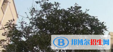 威遠(yuǎn)縣東方職業(yè)技術(shù)學(xué)校怎么樣、好不好